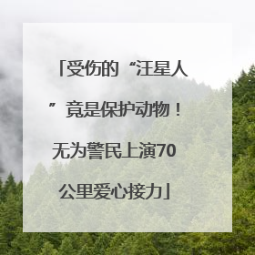 受伤的“汪星人”竟是保护动物！无为警民上演70公里爱心接力