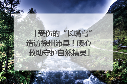 受伤的“长嘴鸟”造访徐州沛县！暖心救助守护自然精灵