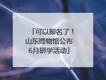 可以报名了！山东博物馆公布6月研学活动