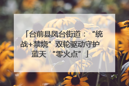 台前县凤台街道：“统战+禁烧”双轮驱动守护蓝天 “零火点”