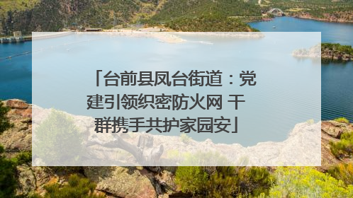 台前县凤台街道：党建引领织密防火网 干群携手共护家园安