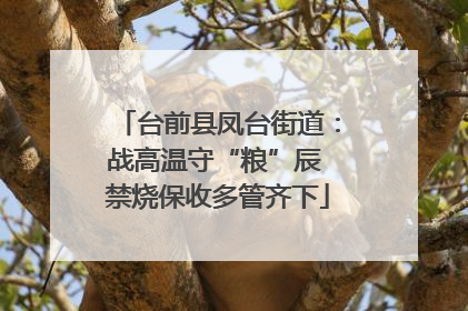 台前县凤台街道：战高温守“粮”辰 禁烧保收多管齐下
