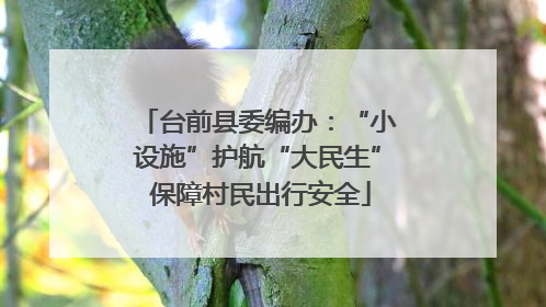 台前县委编办：“小设施”护航“大民生” 保障村民出行安全