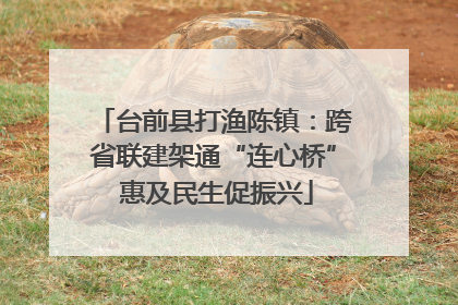 台前县打渔陈镇：跨省联建架通“连心桥” 惠及民生促振兴