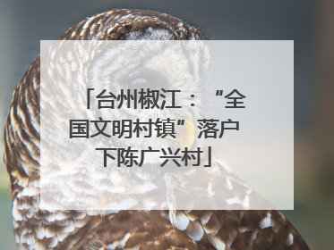 台州椒江：“全国文明村镇”落户下陈广兴村