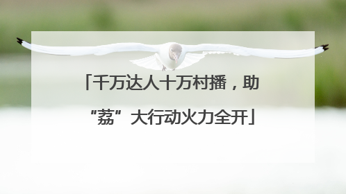 千万达人十万村播，助“荔”大行动火力全开