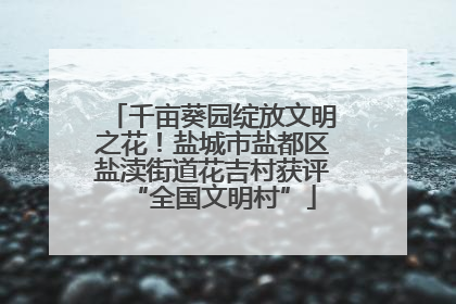 千亩葵园绽放文明之花！盐城市盐都区盐渎街道花吉村获评“全国文明村”