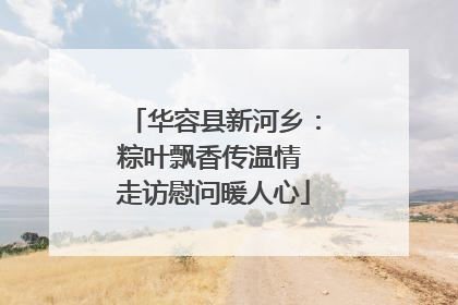 华容县新河乡：粽叶飘香传温情 走访慰问暖人心