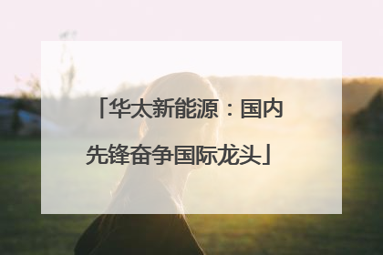华太新能源：国内先锋奋争国际龙头
