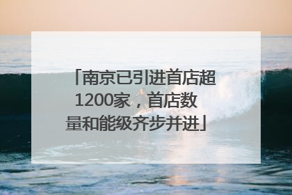 南京已引进首店超1200家，首店数量和能级齐步并进