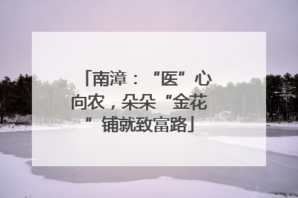 南漳：“医”心向农，朵朵“金花”铺就致富路