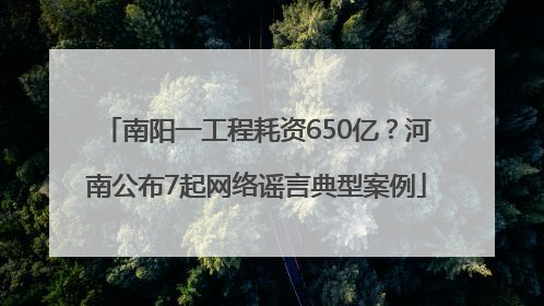 南阳一工程耗资650亿？河南公布7起网络谣言典型案例