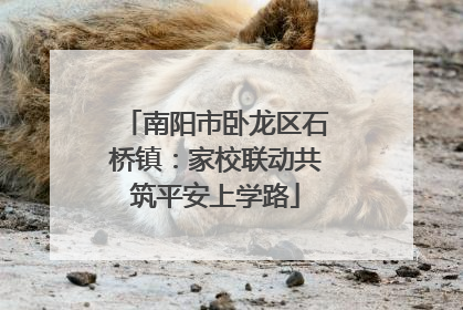 南阳市卧龙区石桥镇：家校联动共筑平安上学路