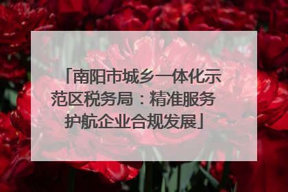 南阳市城乡一体化示范区税务局：精准服务护航企业合规发展