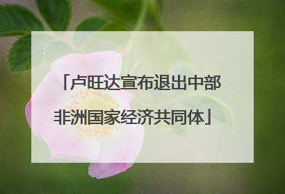 卢旺达宣布退出中部非洲国家经济共同体