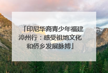 印尼华裔青少年福建漳州行：感受祖地文化和侨乡发展脉搏