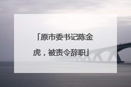 原市委书记陈金虎，被责令辞职