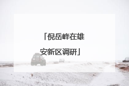 倪岳峰在雄安新区调研