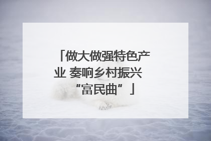 做大做强特色产业 奏响乡村振兴“富民曲”