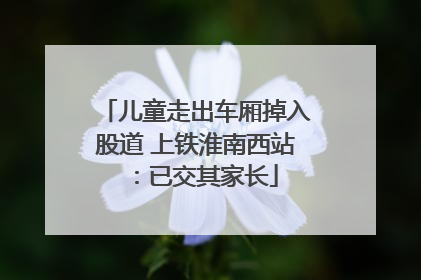 儿童走出车厢掉入股道 上铁淮南西站：已交其家长