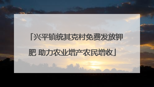 兴平镇统其克村免费发放钾肥 助力农业增产农民增收