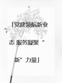 党建领航新业态 服务凝聚“新”力量