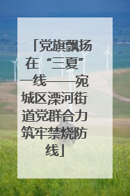 党旗飘扬在“三夏”一线——宛城区溧河街道党群合力筑牢禁烧防线