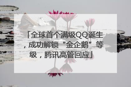 全球首个满级QQ诞生，成功解锁“金企鹅”等级，腾讯高管回应