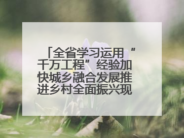 全省学习运用“千万工程”经验加快城乡融合发展推进乡村全面振兴现场会在上杭举行