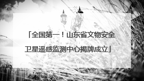 全国第一！山东省文物安全卫星遥感监测中心揭牌成立