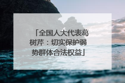 全国人大代表葛树芹：切实保护弱势群体合法权益