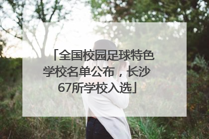 全国校园足球特色学校名单公布，长沙67所学校入选