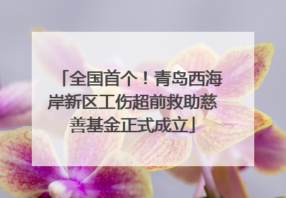 全国首个！青岛西海岸新区工伤超前救助慈善基金正式成立