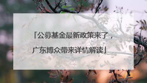 公募基金最新政策来了，广东博众带来详情解读