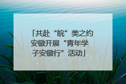 共赴“皖”美之约 安徽开展“青年学子安徽行”活动