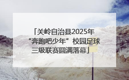 关岭自治县2025年“奔跑吧少年”校园足球三级联赛圆满落幕