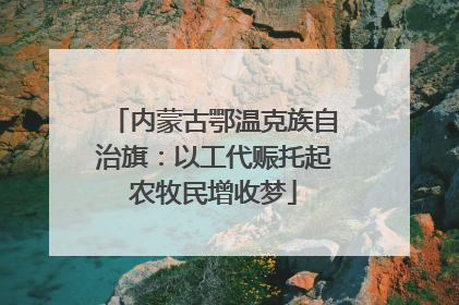 内蒙古鄂温克族自治旗：以工代赈托起农牧民增收梦
