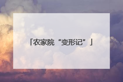 农家院“变形记”