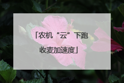 农机“云”下跑 收麦加速度