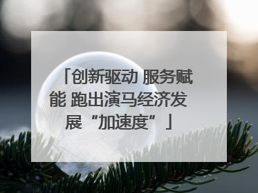 创新驱动 服务赋能 跑出演马经济发展“加速度”