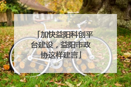 加快益阳科创平台建设，益阳市政协这样建言