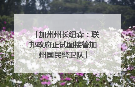 加州州长纽森：联邦政府正试图接管加州国民警卫队