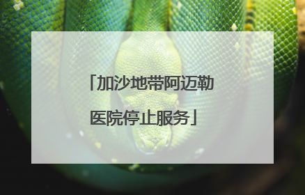 加沙地带阿迈勒医院停止服务