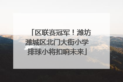 区联赛冠军！潍坊潍城区北门大街小学排球小将扣响未来