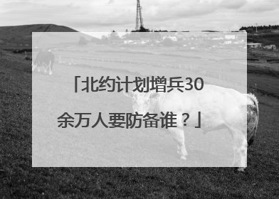 北约计划增兵30余万人要防备谁？