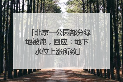 北京一公园部分绿地被淹，回应：地下水位上涨所致