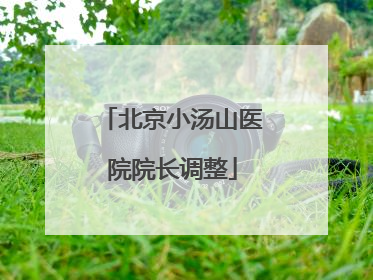 北京小汤山医院院长调整