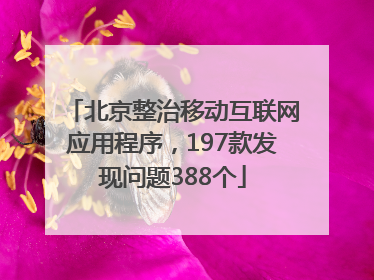 北京整治移动互联网应用程序，197款发现问题388个