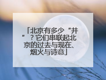 北京有多少“井”？它们串联起北京的过去与现在、烟火与诗意