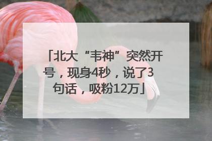 北大“韦神”突然开号，现身4秒，说了3句话，吸粉12万